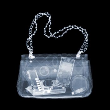 Flippin the Bird (Edition of 25) by Nick Veasey