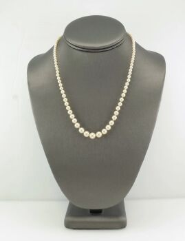 Graduated White Saltwater Akoya Pearl 14K Gold Necklace by Its My Gemme