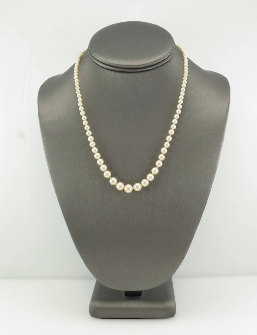 Graduated White Saltwater Akoya Pearl 14K Gold Necklace by Its My Gemme