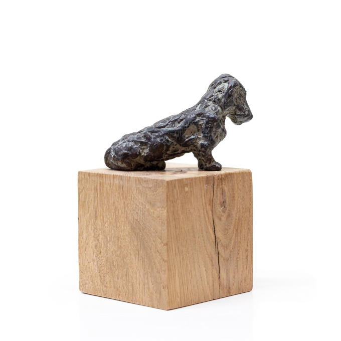 Dachshund by Manon