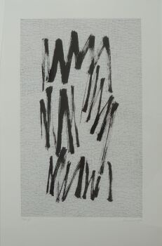 T80 - 95 by Jan Schoonhoven