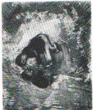 L'Homme et son Image by Marc Chagall