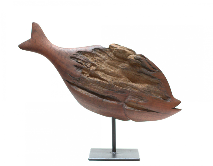 Fish (Ozoroa Reticulata) by Boniface