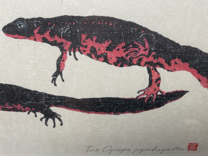 Salamander friends by Kouij Hosoi