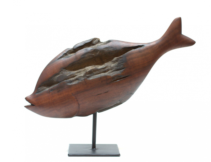 Fish (Ozoroa Reticulata) by Boniface