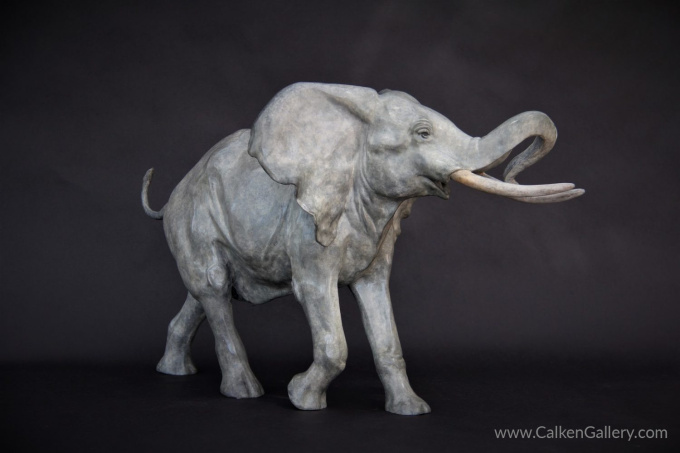 Elephant by Gill Parker