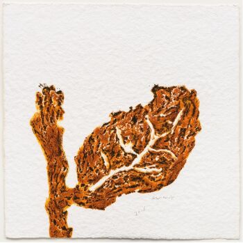 'Blatt (braun) by Armando