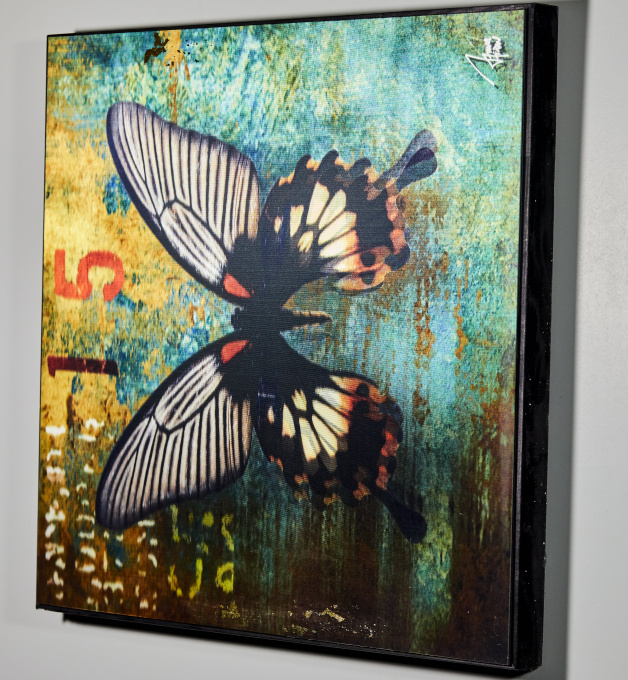 Butterfly II by James Chiew