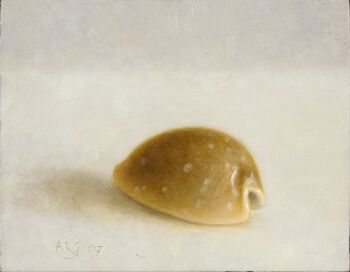 Schelp by Albert Greving