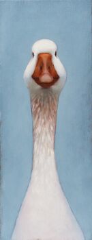 Goose head by Luuk Kolthof