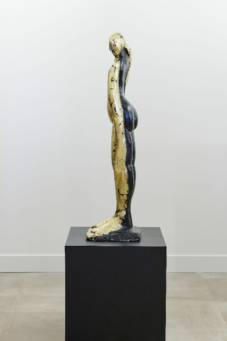 Golden lady by Theo Mackaay