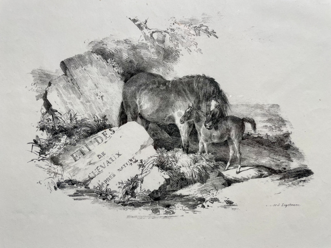 Voorblad Etudes de chevaux après nature/ Merrie met veulen by Théodore Géricault