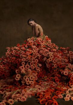 Gerbera (Botanical Ballet) by Davide Heijmans