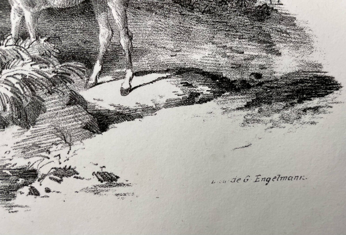 Voorblad Etudes de chevaux après nature/ Merrie met veulen by Théodore Géricault