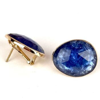 Earrings in Tanzanite by Mary van der Sluis