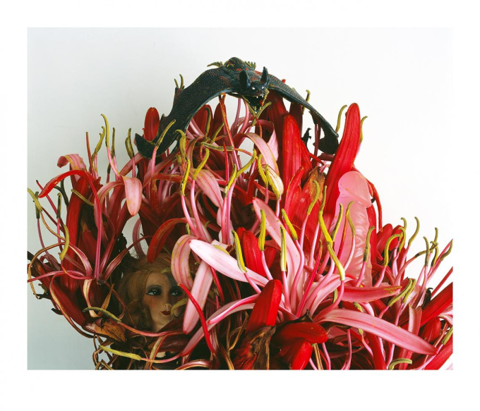 MONSTROUS PARADISE #021 by Nobuyoshi Araki (荒木経惟)
