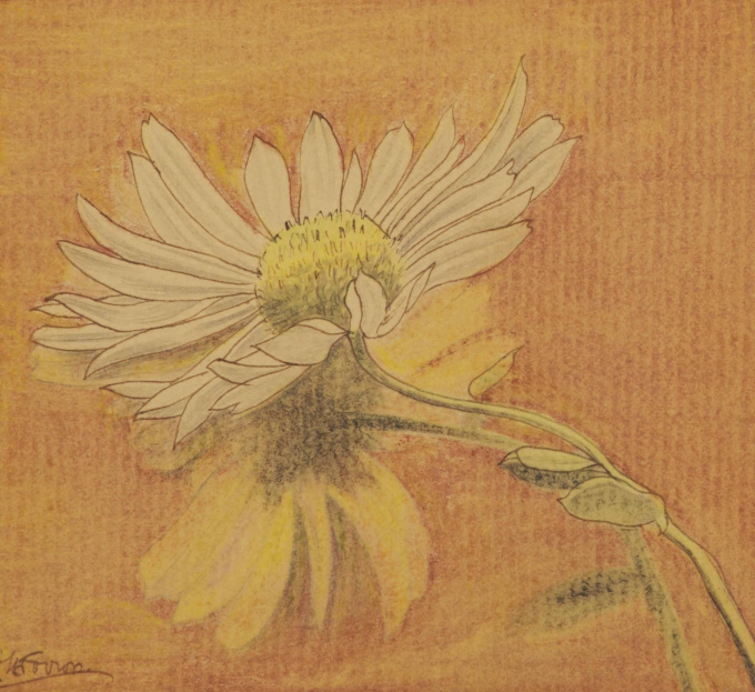 Madeliefje by Jan Toorop