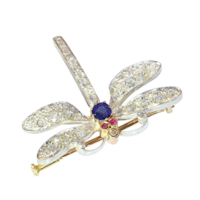 Late Victorian Dragonfly Brooch, Diamond Set Wings and Sapphire Body, circa 1900 by Artista Sconosciuto