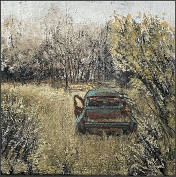 Rusty old cars - series by René Rikkelman
