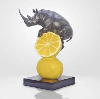 Rhino Loves Lemons by Gillie and Marc