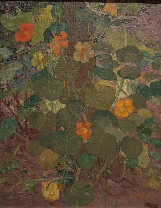 Oost-Indische kers (Tropaeolum majus) by Albert Hemelman
