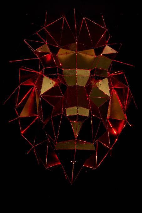 Lion´s Head by Phantom Art