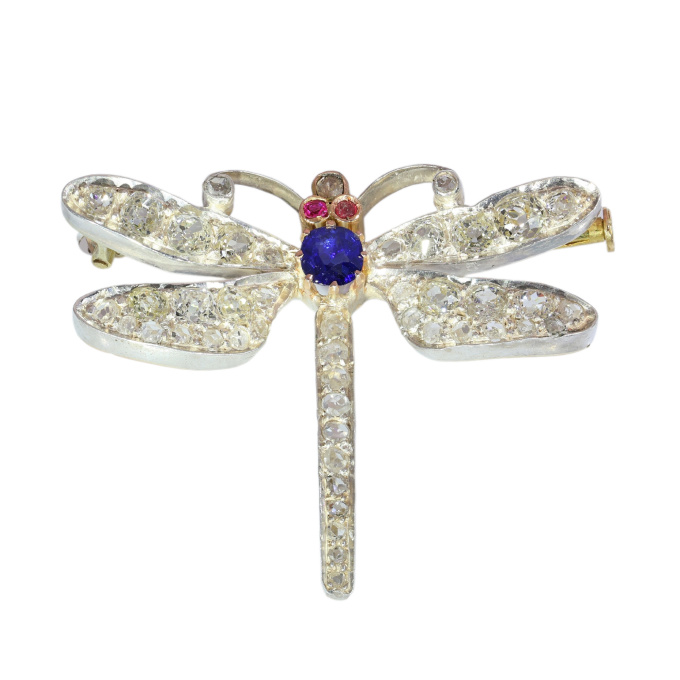 Late Victorian Dragonfly Brooch, Diamond Set Wings and Sapphire Body, circa 1900 by Artista Sconosciuto