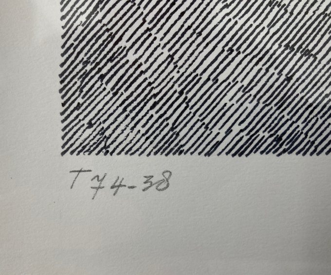 T74 -38 by Jan Schoonhoven