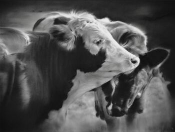 Touch by Rosanna Gaddoni