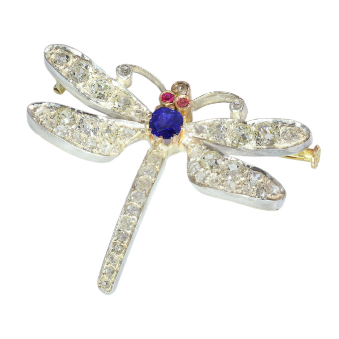 Late Victorian Dragonfly Brooch, Diamond Set Wings and Sapphire Body, circa 1900 by Artista Sconosciuto