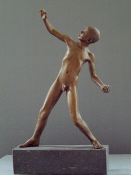 David by Wim van der Kant