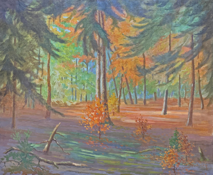 Herfst in het bos by Dirk Smorenberg