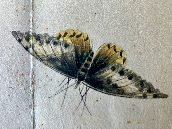 'Insects' by Qi Baishi