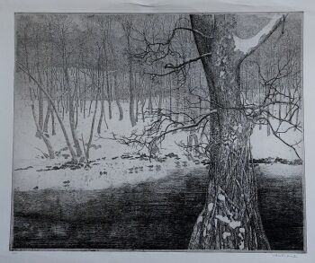 Etching by Charles Donker, depicting Amelisweerd by Charles Donker
