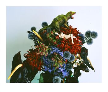 MONSTROUS PARADISE #027 by Nobuyoshi Araki (荒木経惟)