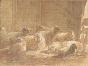 Schapen in een schuur by Jan van Ravenswaay