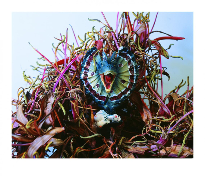  MONSTROUS PARADISE by Nobuyoshi Araki (荒木経惟)