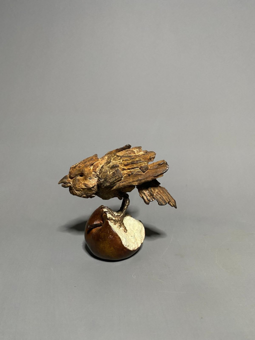 Mus op appel by Pieter Vanden Daele