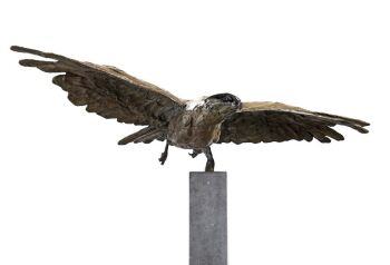 Flying Buzzerd by Jacqueline van der Laan