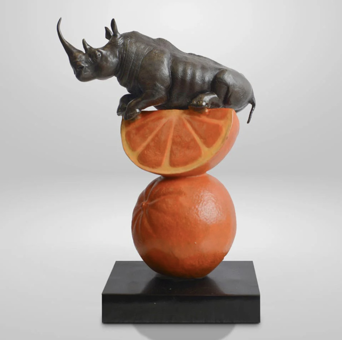 Rhino Loves Oranges by Gillie and Marc
