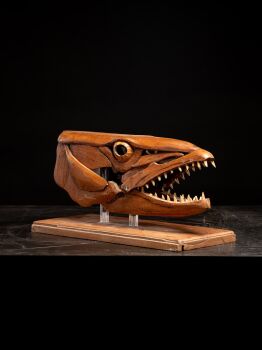 A handmade wooden sculpture, study of a Barracuda head, mouth open, resting on wooden plinth by Artista Desconocido