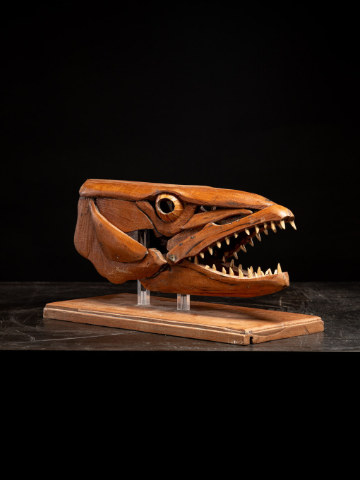 A handmade wooden sculpture, study of a Barracuda head, mouth open, resting on wooden plinth by Unbekannter Künstler