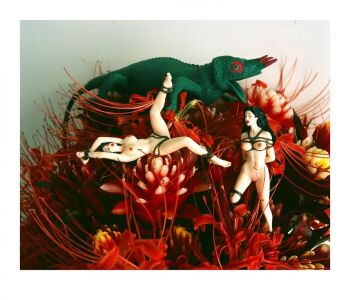 MONSTROUS PARADISE #071 by Nobuyoshi Araki (荒木経惟)