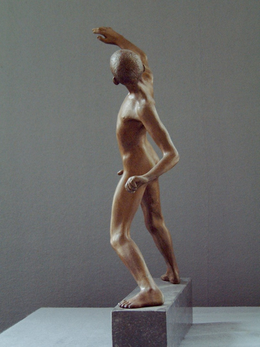 David by Wim van der Kant