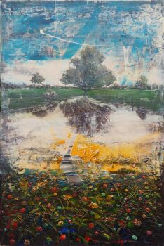 Unknown orange dust on daisy flowers - In Stock by Jernej Forbici 