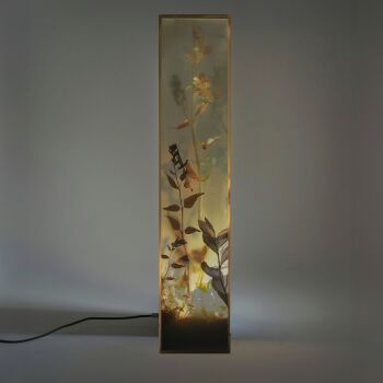 Blooming oasis by Studio Luminae