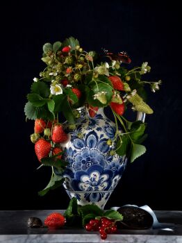 Still Life June by Kommer Hakkenbrak