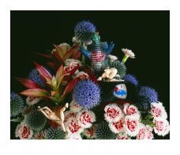 MONSTROUS PARADISE #033 by Nobuyoshi Araki (荒木経惟)