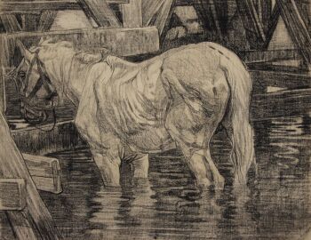 Paard in het wed by Pieter Dupont