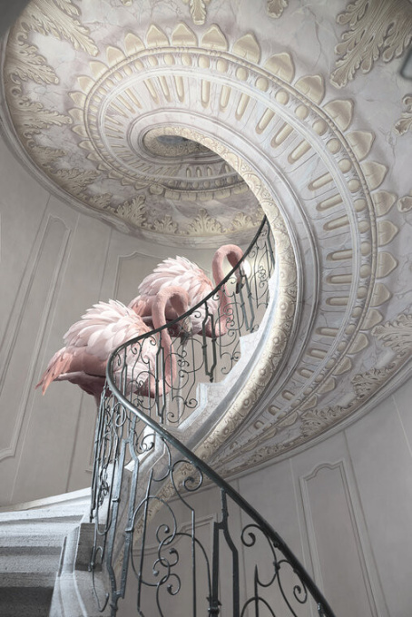 Golden Ratio by Cheraine Colette